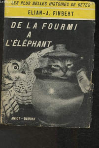 De la fourmi à l'éléphant
