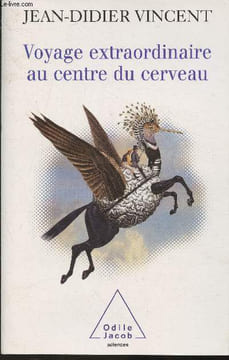 Voyage extraordinaire au centre du cerveau. Vincent Jean-Didier