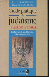 "Guide pratique du Judaïsme- De Aaron à Zohar (Collection ""vie pratique"")"