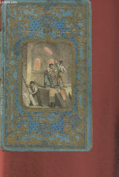 Les trois orphelines- Nouvelles veillées du château- Cartonnage romantique. Delafaye-Bréhier J.
