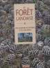 La forêt Landaise- Une aventure de l'Homme et de son milieu. Montané Jean (Sous la direction de)