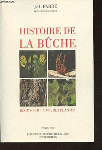 Histoire de la bûche- Récits sur la vie des plantes