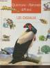 Questions-réponses 6/9 ans- Les oiseaux. Collectif