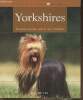 Yorkshire- Bien les comprendre et bien les soigner- les conseils d'un expert pour votre animal favori. Kriechbaumer Armin