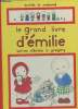 Le grand livre d'Emilie- Lettres d'émilie à Gregory. De Pressensé Domitille