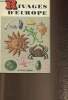 Rivages d'Europe (collection Le petit guide). Cherbonnier Gustave