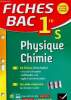 Fiches Bac Physique Chimie 1re S. Tout le programme en 54 fiches détachables + un aide-mémoire de révision rapide. Teixeira-Castex Valérie, Teixeira ...