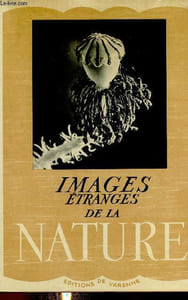 Images étranges de la nature