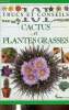 "Cactus et plantes grasses (Collection ""101 trucs et conseils"")". Hewitt Terry
