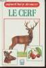 Le cerf. Mommaerts Myriam