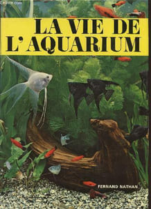 La vie de l'aquarium