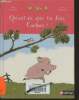 Qu'est-ce que tu fais, Cochon?. Gouichoux René, Boutavant Marc