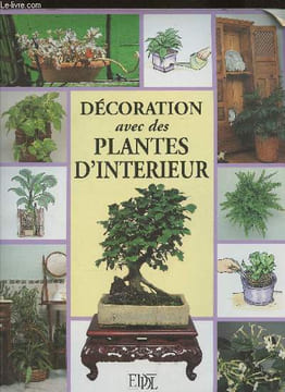 Décoration avec des plantes d'intérieur. Collectif
