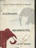 Eléphant, mammouth,...et les autres- Museum d'Histoire Naturelle de Bordeux. Prud'Homme Janine, Mémoire Nathalie