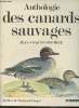 Anthologie des canards sauvages. Brochier Jean-Jacques