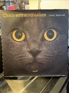 Chats extraordinaires