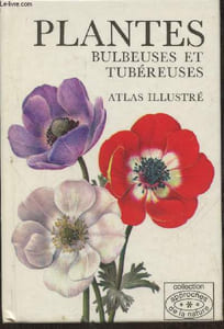 Plantes bulbeuses et tubéreuses
