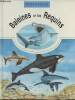 Découvrons les Baleines et les requins. Glover Jane et David