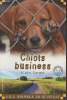 Chiots business- S.O.S. animaux en détresse. Surget Alain