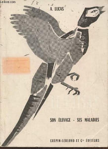 Le faisan- son élevage, ses maladies