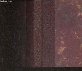 Le fardeau des jours- roman