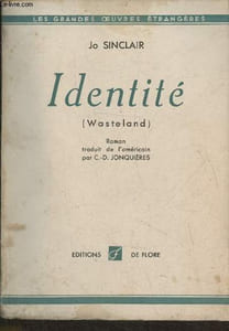 "Identité (wasteland) (Collection ""Les grandes oeuvres étrangères"")"