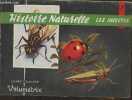 Histoire naturelle V - Les insectes- Livret éducatif Volumétrix n°7. Collectif