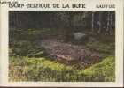 Le camp celtique de la bure- Saint-Dié- Cite des Leuques, capitale Toul?. Collectif