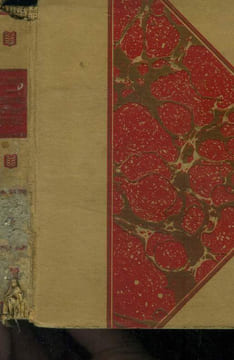 L'homme qui devint gorille. Magog H. J.