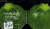Les meilleures recettes à la courgette. Collectif