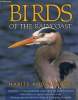 Birds of the raincoast.Habits and Habitat. Thommasen Harvey, Hutchings Kevin