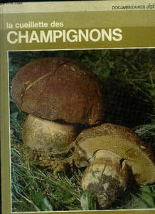 La cueillette des champignons