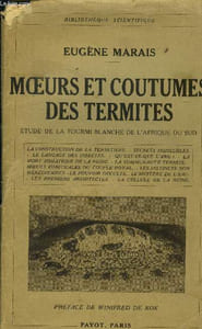Moeurs et coutumes des termites