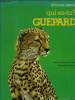 Qui es-tu guépard. Paicher Françoise