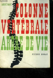 Colonne vertébrale arbre de vie