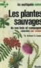 Les plantes sauvages de nos bois et campagnes classées par couleur. Schauer Th, Caspari C.