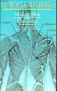 Mal de dos et conduite - Le muscle maltraite - ergonomie, la recherche d'une position de conduite moindre fatigue dite ideale, professions exposees, le chauffeur, l'agriculteur, le routier, le motard, le coup du lapin, la competition automobile, ...