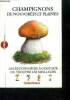 Champignons de nos forets et plaines - les reconnaitre a coup sur, ou trouver les meilleurs, conseils de cueillette.... REVET patrick, collectif