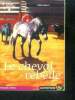 Cheval fantome - Le cheval rebelle - collection passion cheval N°1048. Farley Terri