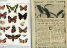 Le livre de la nature : les papillons et leurs chenilles, lepidopteres de france + les pays scandinaves, le danemark pays essentiellement maritime + ...