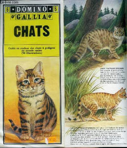 Domino Gallia n° 6 - Chats - Guide en couleurs des chats a pedigree du monde entier