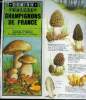 Domino gallia N°3 champignons de france- principaux champignons comestibles et veneneux, 99 especes representees en couleur. Pegler david, spooner ...
