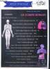Jeux d'ecole N°19, avril 1996- le corps humain, os et muscles: decoupage, visite medicale: lecture, hygiene et regles de vie: mots codes, le ...