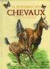 Nous sommes des chevaux. Grooms Molly, Sitchkar Alexander