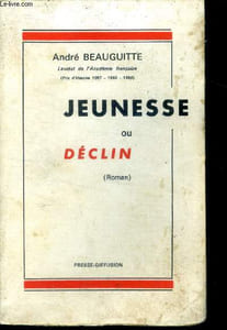 Jeunesse ou declin (roman)