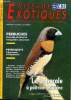 La revue des Oiseaux exotiques N°247 La Donacole à poitrine châtaine Sommaire: Perruches: perruche de Bourke Turquoise cinnamon; Perroquets L'Amazone ...