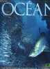 Océan encyclopédie universelle Sommaire: La géologie des océans; Circulation et climat; Les mers côtières; Les formes de la vie dans les océans .... ...