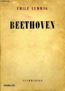 Beethoven Vie d'un conquérant