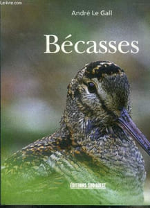 Bécasses