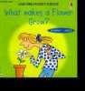 What make a flower grow ? Usborne pocket science - internet linked. MAYES susan, pringles mike, wingate philippa